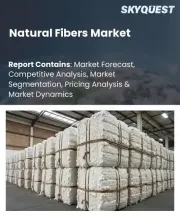 Natural Fibers Market Size, Share, and Growth Analysis, By Type (Plant-Based Fibers, Animal-Based Fibers), By Application (Textiles and Apparel, Automotive Composites), By Region - Industry Forecast 2026-2033