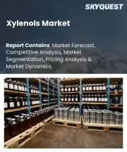 Xylenols Market Size, Share, and Growth Analysis, By Product Type (2,3-Xylenol, 2,4-Xylenol), By Application, By End-Use Industry, By Purity Grade, By Region - Industry Forecast 2026-2033