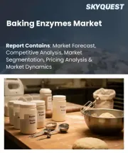 Baking Enzymes Market Size, Share, and Growth Analysis, By Enzyme Type (Amylases, Proteases), By Source (Microbial, Plant-derived), By Application, By Region - Industry Forecast 2026-2033