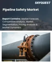 Pipeline Safety Market Size, Share, and Growth Analysis, By Solution (Monitoring & Control Systems, Inspection & Testing), By Application (Onshore Pipelines, Offshore Pipelines), By Industry, By End-User, By Region - Industry Forecast 2026-2033