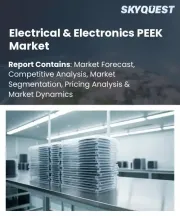 Electrical & Electronics PEEK Market Size, Share, and Growth Analysis, By Product Type (Unfilled PEEK, Glass-Filled PEEK), By Form, By Application, By End-Use Industry, By Distribution Channel, By Region - Industry Forecast 2026-2033