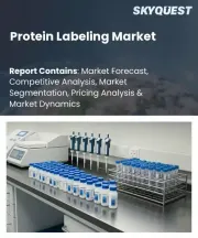 Protein Labeling Market Size, Share, and Growth Analysis, By Label Type (Fluorescent Labels, Radioactive Labels), By Technology (ELISA-Based, Immunofluorescence), By Application, By End-User, By Region - Industry Forecast 2026-2033