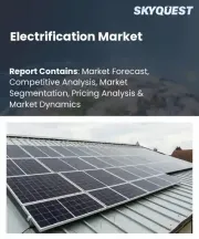 Electrification Market Size, Share, and Growth Analysis, By Component (Hardware, Software), By Technology, By Application, By Source of Electricity, By Voltage Level, By End Use Industry, By Region - Industry Forecast 2026-2033