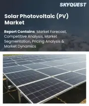 Solar Photovoltaic (PV) Market Size, Share, and Growth Analysis, By Technology, By Grid Type, By Application, By Component, By Installation Type, By End User, By Distribution Channel, By Region - Industry Forecast 2026-2033