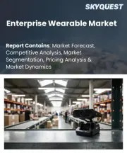 Enterprise Wearable Market Size, Share, and Growth Analysis, By Device Type (Smart Glasses / AR Headsets, Smart Watches / Wristbands), By Application, By Technology, By End-User, By Region - Industry Forecast 2026-2033
