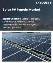 Solar PV Panels Market Size, Share, and Growth Analysis, By Technology Type, By Grid Connectivity, By Installation Type, By Mounting Structure, By Cell Type, By Power Output, By Region - Industry Forecast 2026-2033