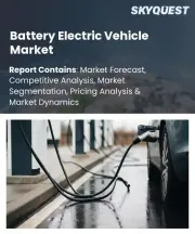 Battery Electric Vehicle Market Size, Share, and Growth Analysis, By Propulsion Type, By Vehicle Type, By Battery Type, By Vehicle Range, By Charging Type, By Drive Type, By Region - Industry Forecast 2026-2033