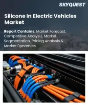 Silicone In Electric Vehicles Market Size, Share, and Growth Analysis, By Product Type, By Application, By Vehicle Type, By Form, By End Use, By Sales Channel, By Region - Industry Forecast 2026-2033