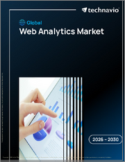 Global Web Analytics Market 2026-2030