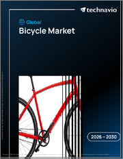 Global Bicycle Market 2026-2030