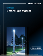 Global Smart Pole Market 2026-2030