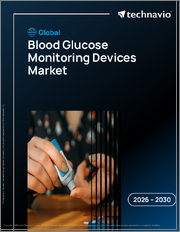 Global Blood Glucose Monitoring Devices Market 2026-2030