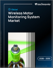 Global Wireless Motor Monitoring System Market 2026-2030