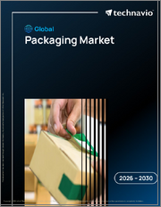 Global Packaging Market 2026-2030