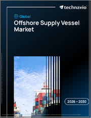 Global Offshore Supply Vessel Market 2026-2030