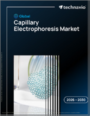 Global Capillary Electrophoresis Market 2026-2030
