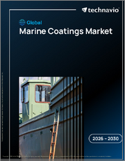 Global Marine Coatings Market 2026-2030