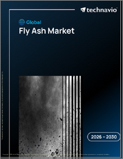 Global Fly Ash Market 2026-2030