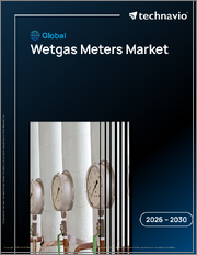 Global Wetgas Meters Market 2026-2030
