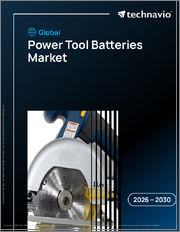 Global Power Tool Batteries Market 2026-2030