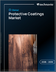 Global Protective Coatings Market 2026-2030