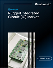 Global Rugged Integrated Circuit (IC) Market 2026-2030