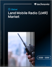 Global Land Mobile Radio (LMR) Market 2026-2030