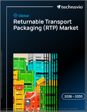 Global Returnable Transport Packaging (RTP) Market 2026-2030