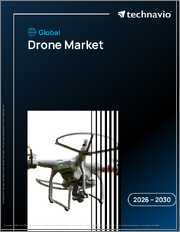 Global Drone Market 2026-2030