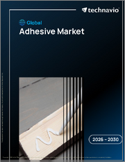 Global Adhesive Market 2026-2030