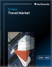 Global Travel Market 2026-2030