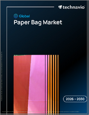 Global Paper Bag Market 2026-2030