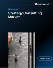 Global Strategy Consulting Market 2026-2030