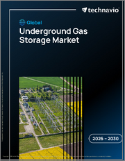 Global Underground Gas Storage Market 2026-2030