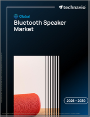 Global Bluetooth Speaker Market 2026-2030