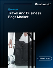 Global Travel And Business Bags Market 2026-2030