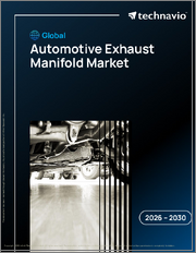 Global Automotive Exhaust Manifold Market 2026-2030