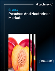 Global Peaches And Nectarines Market 2026-2030