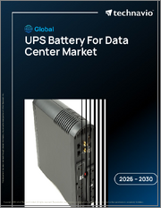 Global Ups Battery For Data Center Market 2026-2030