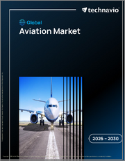 Global Aviation Market 2026-2030