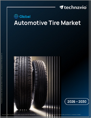 Global Automotive Tire Market 2026-2030