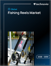 Global Fishing Reels Market 2026-2030