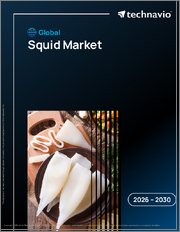 Global Squid Market 2026-2030