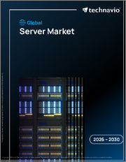 Global Server Market 2026-2030