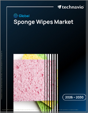 Global Sponge Wipes Market 2026-2030