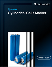 Global Cylindrical Cells Market 2026-2030
