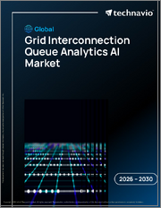 Global Grid Interconnection Queue Analytics AI Market 2026-2030
