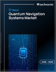 Global Quantum Navigation Systems Market 2026-2030