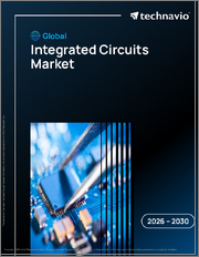 Global Integrated Circuits Market 2026-2030