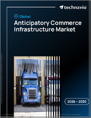 Global Anticipatory Commerce Infrastructure Market 2026-2030